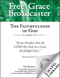 free grace broadcaster - issue 169 - the faithfulness of god book cover image