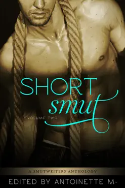 short smut, vol. 2 book cover image