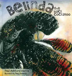 belinda book cover image