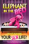 Elephant in The Bed, What's Blocking Your Sex Life?, How to recognize and stop problems affecting your relationship so you can get back to having sex again! sinopsis y comentarios