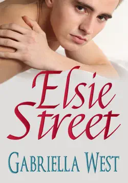 elsie street book cover image