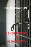 Reconciliation synopsis, comments