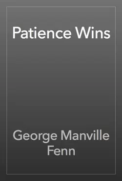 patience wins book cover image
