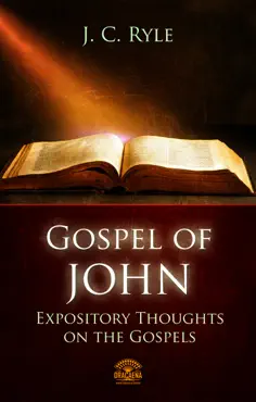bible commentary - the gospel of john book cover image