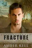 Fracture synopsis, comments