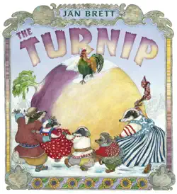 the turnip book cover image