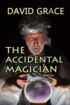 the accidental magician book cover image