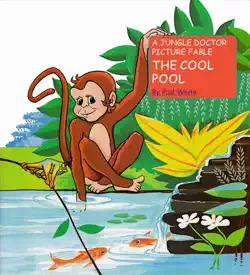 the cool pool book cover image