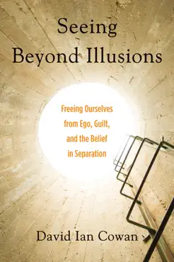seeing beyond illusions book cover image