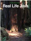 Real Life Java synopsis, comments