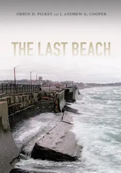 the last beach book cover image