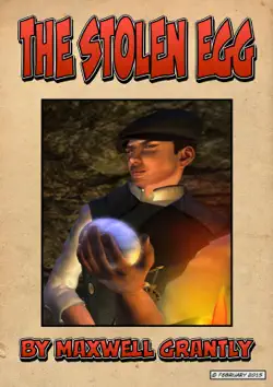 the stolen egg book cover image