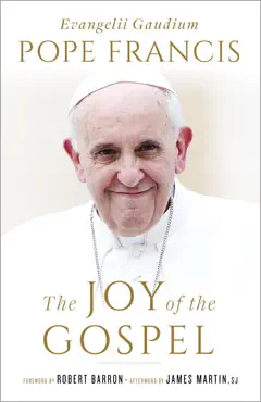 the joy of the gospel book cover image
