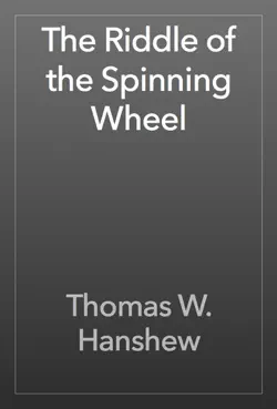 the riddle of the spinning wheel book cover image