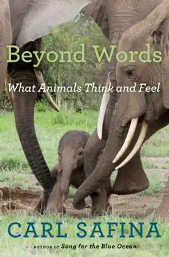 beyond words book cover image