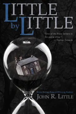 little by little book cover image
