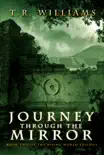 Journey Through the Mirror synopsis, comments
