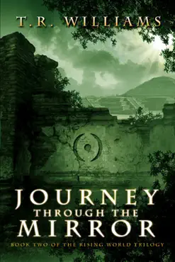 journey through the mirror book cover image