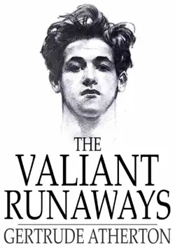 the valiant runaways book cover image
