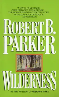 wilderness book cover image