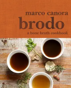 brodo book cover image