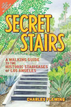 secret stairs book cover image