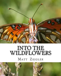 into the wildflowers book cover image