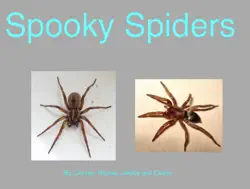 spooky spiders book cover image