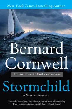 stormchild book cover image