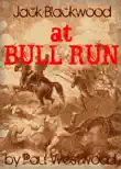 At Bull Run synopsis, comments