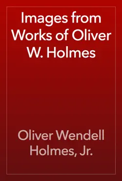 images from works of oliver w. holmes book cover image
