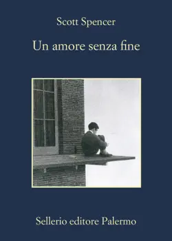 un amore senza fine book cover image