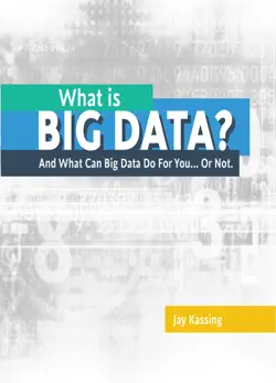 what is big data imagen de la portada del libro