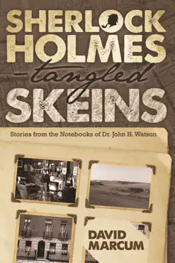sherlock holmes - tangled skeins book cover image