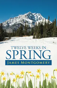 twelve weeks in spring imagen de la portada del libro