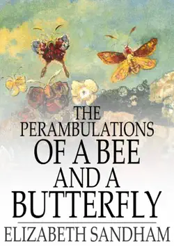 the perambulations of a bee and a butterfly book cover image