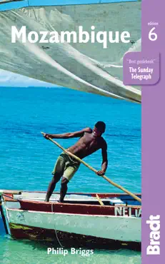 mozambique book cover image
