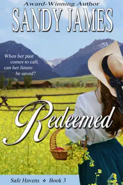 redeemed (safe havens 3) book cover image