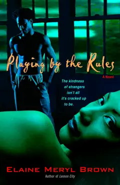 playing by the rules book cover image