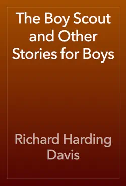 the boy scout and other stories for boys book cover image