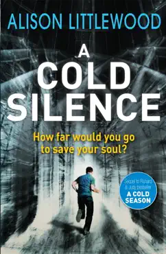 a cold silence imagen de la portada del libro