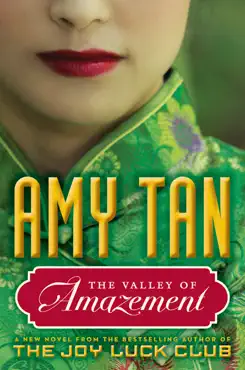 the valley of amazement book cover image