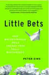 Little Bets synopsis, comments