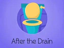 after the drain book cover image