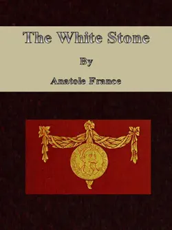 the white stone book cover image