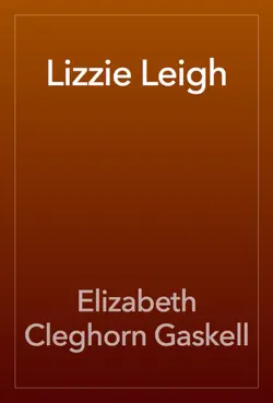 lizzie leigh book cover image