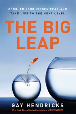 the big leap book cover image