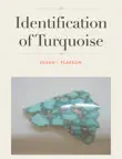 Identification of Turquoise synopsis, comments