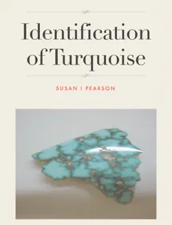 identification of turquoise book cover image