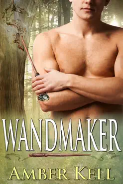 wandmaker book cover image